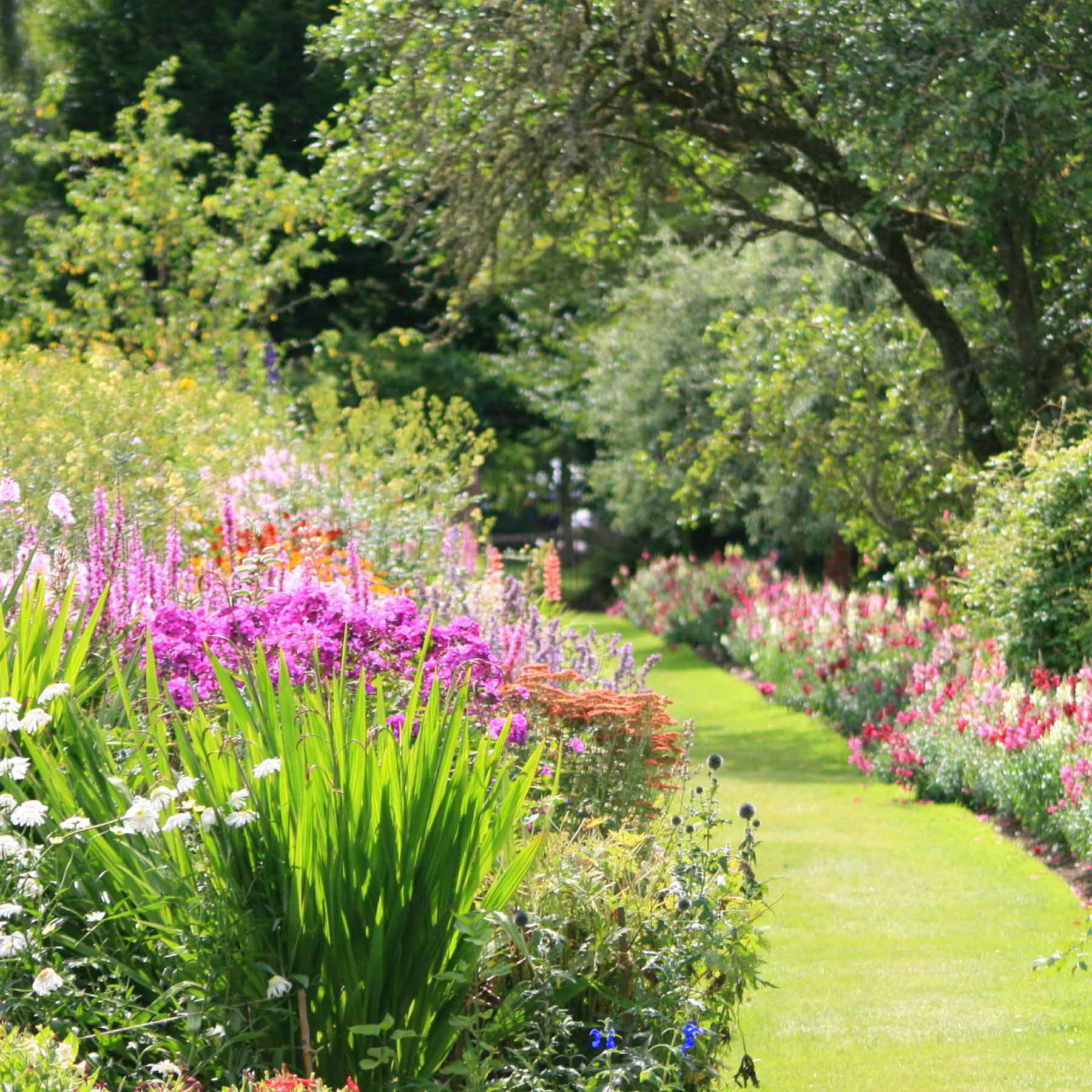 Découvez le Guide de jardinage Willemse