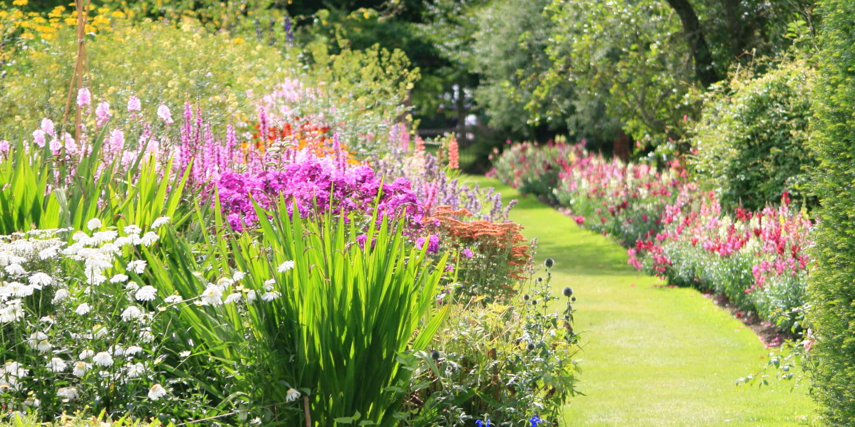 Le Guide de Jardinage Willemse