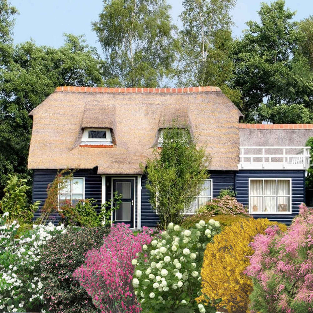 Collection Haie des quatre saisons #2 - Tamarix, forsythia, philadelphus, ribes, symphonicarpus, viburnum - Willemse