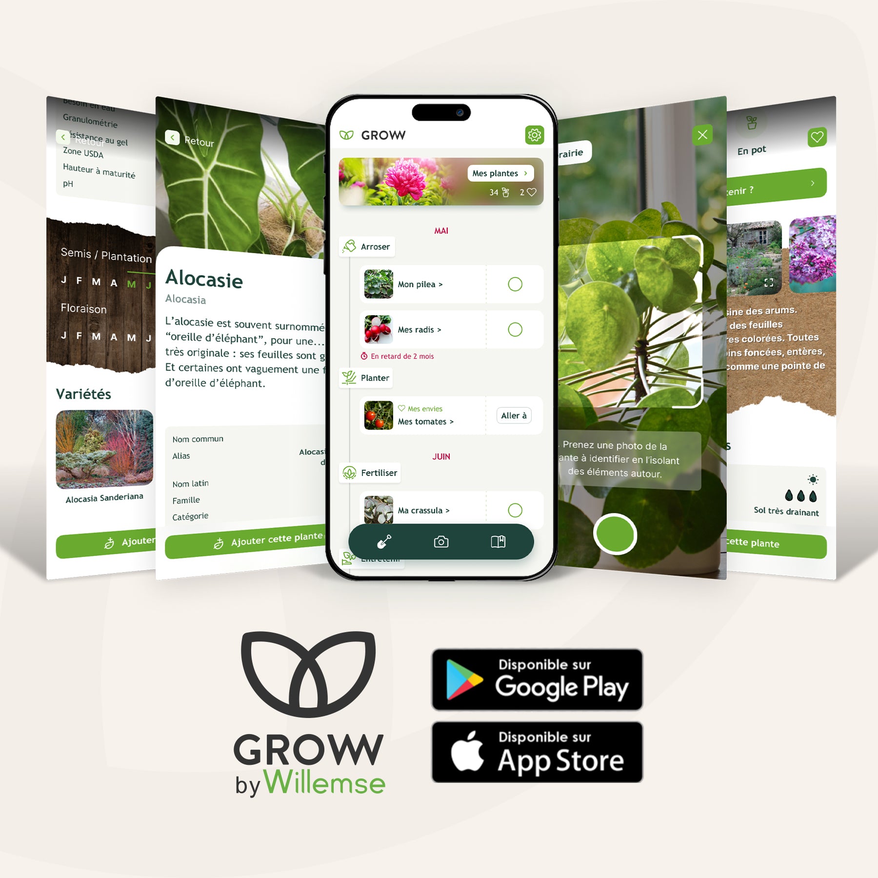 Téléchargez l'application gratuite Groww !