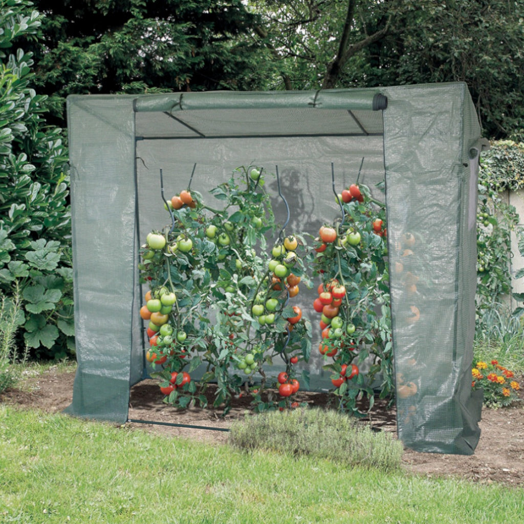 Serre Pour Tomates serre-pour-tomates