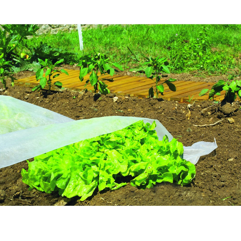 Voile de croissance - - Willemse