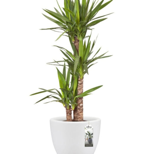 Pot Pure Soft Round blanc ELHO - - Willemse