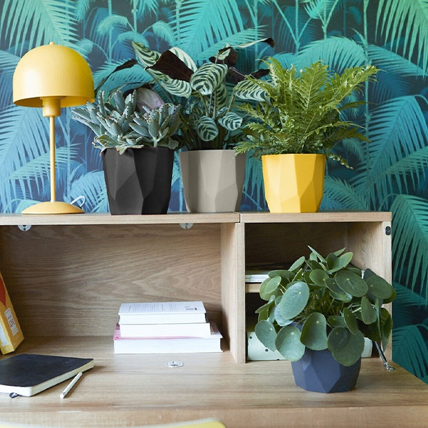 Elho Cache-pot B for rock ocre - - Willemse