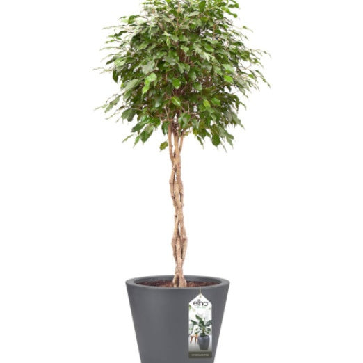 Pot Pure Staight Round anthracite ELHO - - Willemse