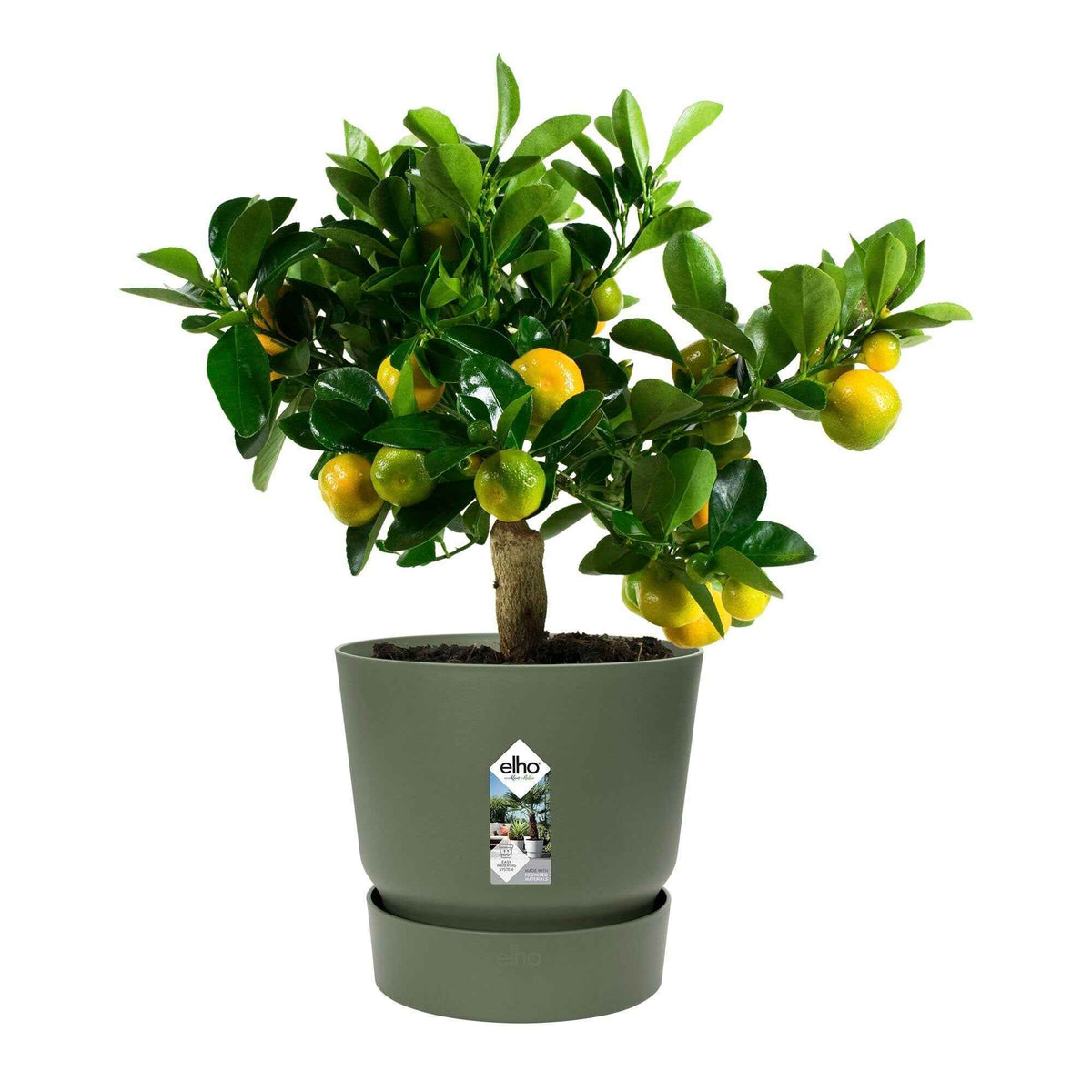 Pot de fleurs Greenville Leaf green ELHO - Pots et contenants pour cultiver vos plantes