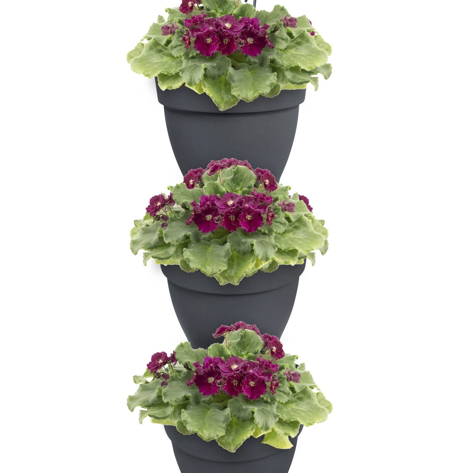 3 Pots de fleurs Vibia campana forêt Anthracite ELHO