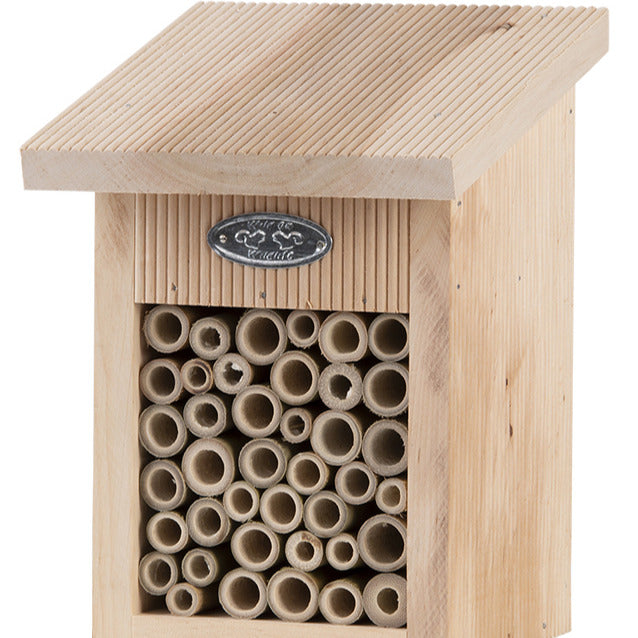 Abri pour abeilles en bois naturel - Plantes