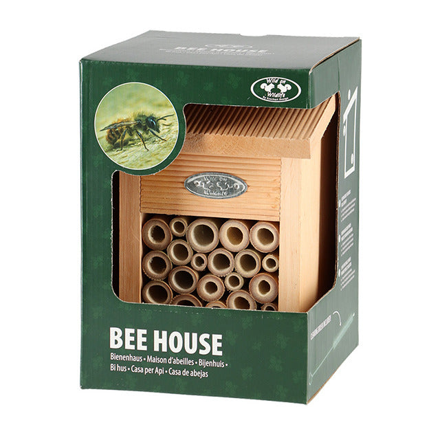 Abri pour abeilles en bois naturel - Equipement