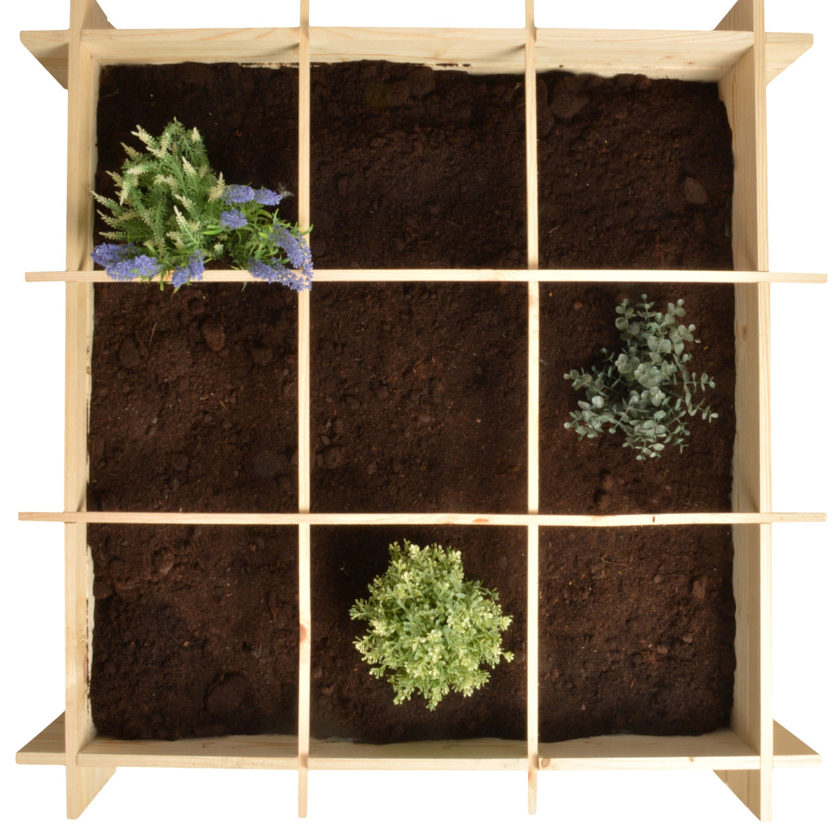 Carré potager en bois de Pin FSC - - Willemse