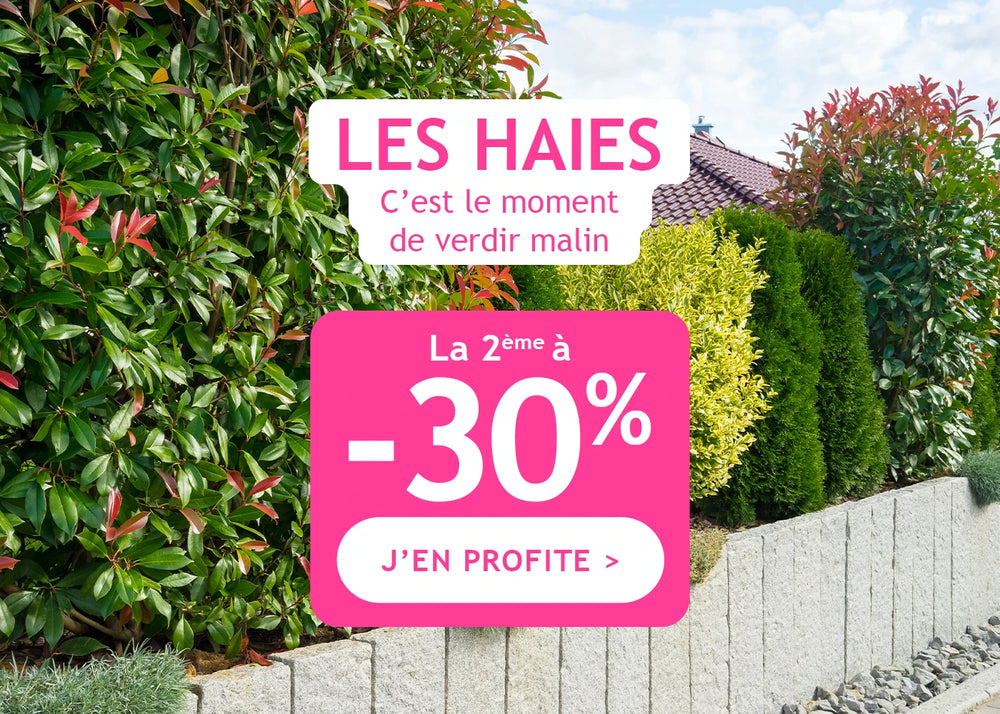 Haies : 1 plante achetée, la 2e à -30%