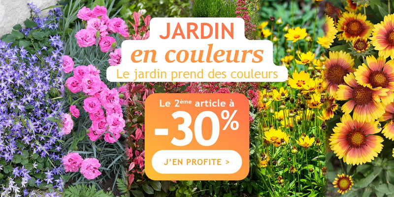 Un jardin en couleurs : la 2ème plante à -30% !