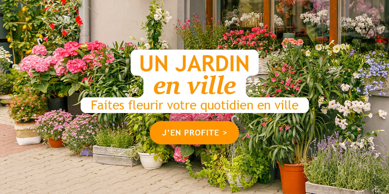 Focus : Un jardin en ville