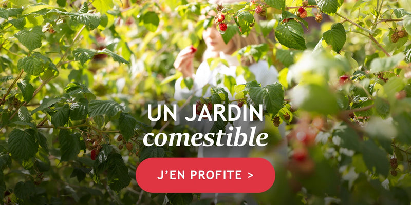 Tout pour un jardin comestible !