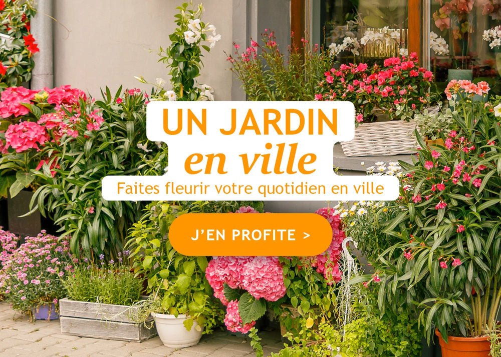 Focus : Un jardin en ville