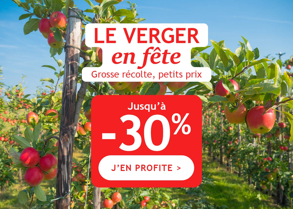 Le Verger en fête: jusqu'à -30% sur les fruitiers