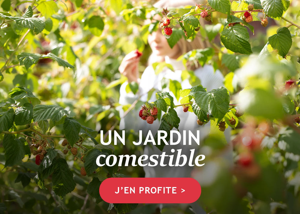 Tout pour un jardin comestible !