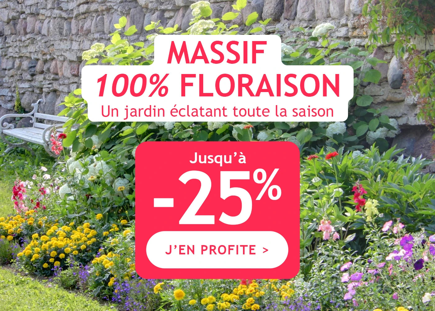 Massif 100% floraison !