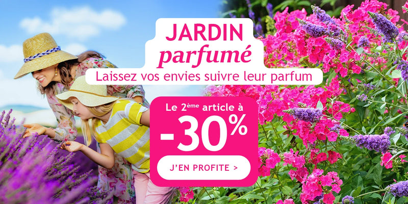 Jardin parfumé : la 2ème plante a -30% !