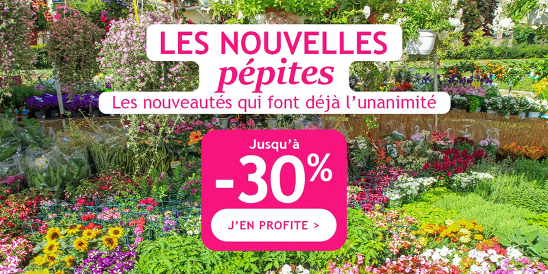 Les nouvelles pépites : jusqu’à -30% de remise