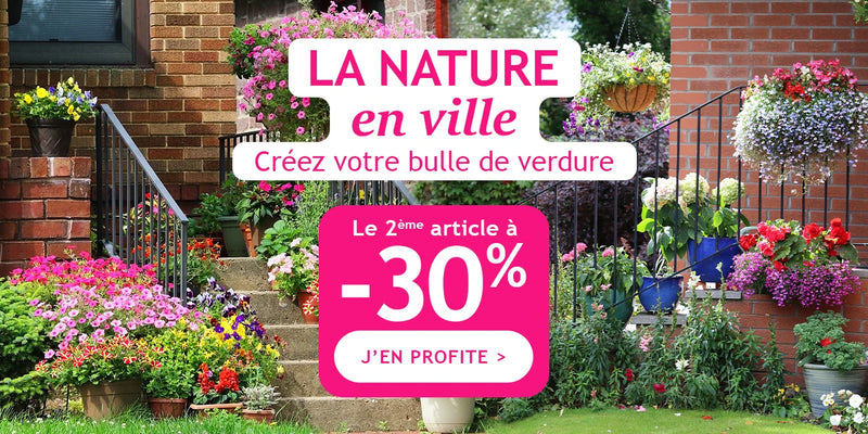 La nature en ville : la 2ème plante à -30% !