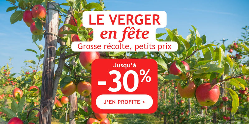 Le Verger en fête: jusqu'à -30% sur les fruitiers
