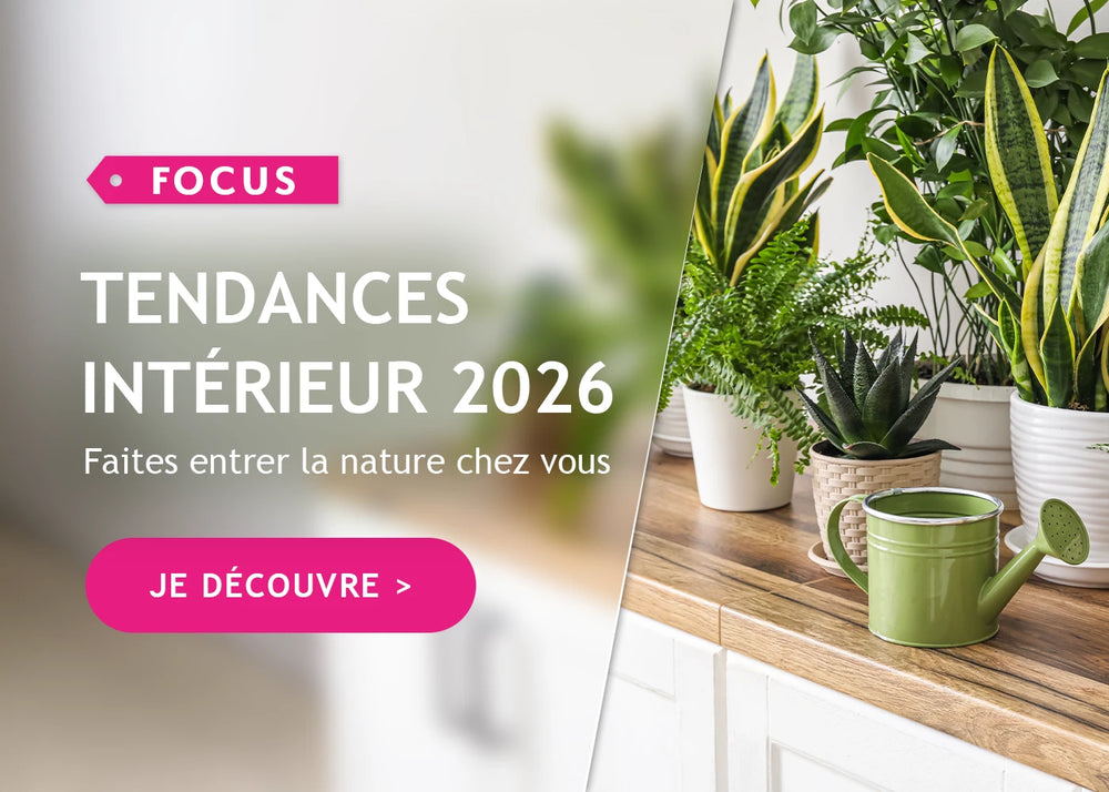 Tendance intérieur 2026