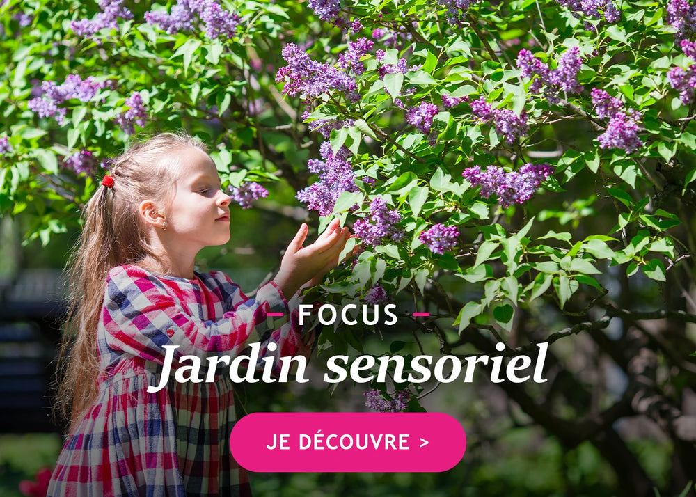Focus sur le jardin sensoriel…