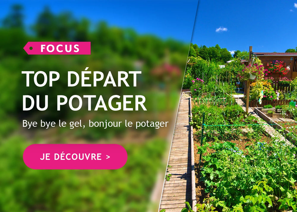 Top départ du potager !