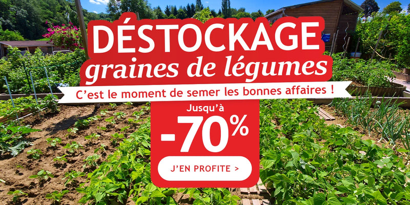 Déstockage jusqu’à -70% : graines de légumes !