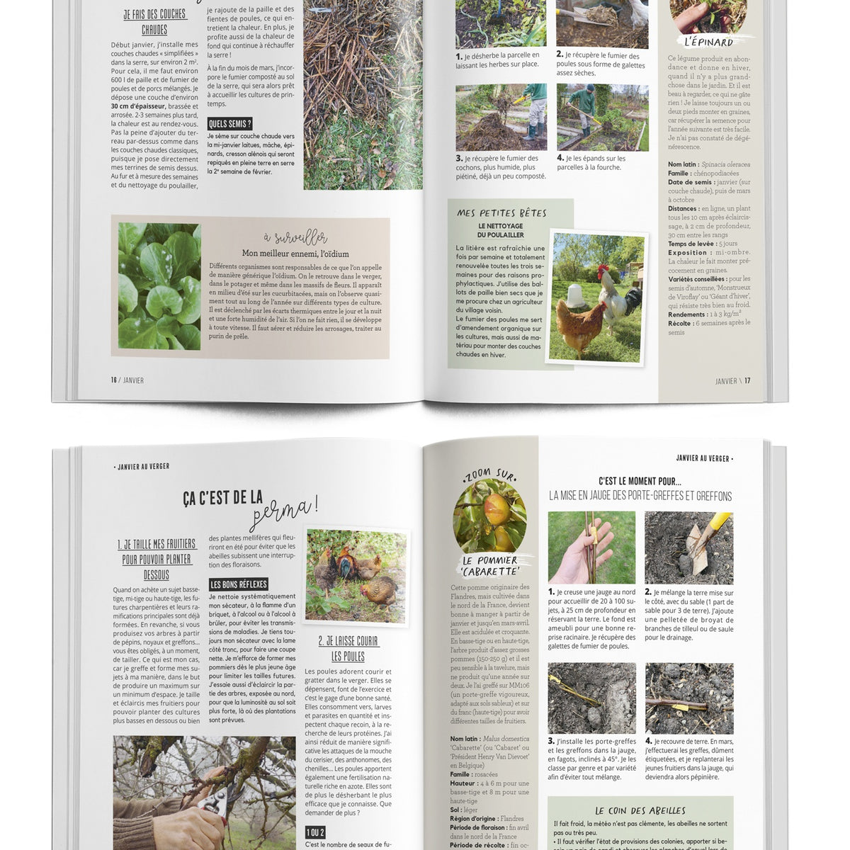 Les leçons de permaculture de Zeprofdortie - - Willemse