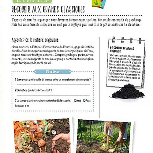 Transformez un coin de pelouse en un petit potager - - Willemse