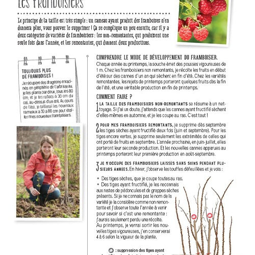 Taillez vos arbres et vos arbustes - - Willemse