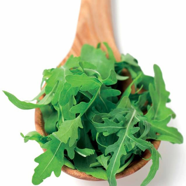 Roquette cultivée Bio - Eruca sativa - Willemse
