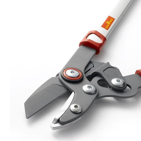 Elagueur confort à enclume 40 mm WOLF - - Willemse