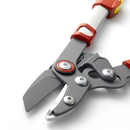 Elagueur premium télescopique enclume 50 mm WOLF - - Willemse