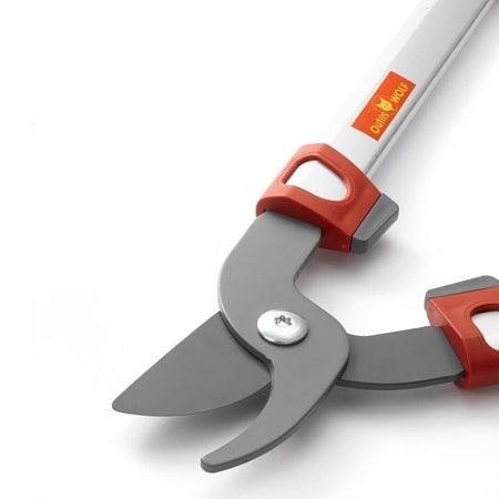 Elagueur à coupe franche 35 mm WOLF - - Willemse