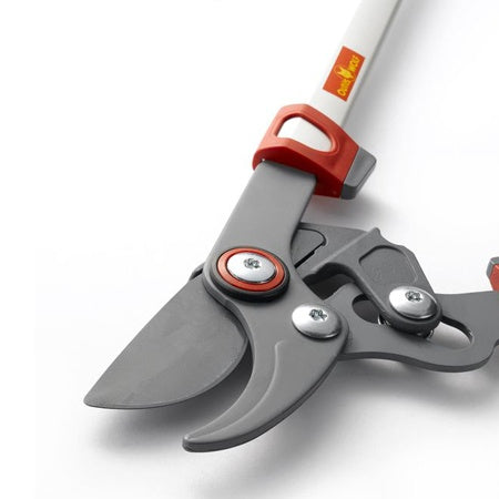 Elagueur confort coupe franche 40 mm WOLF - - Willemse