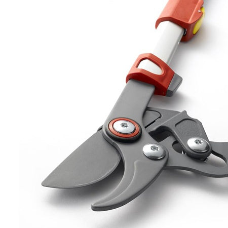 Elagueur télescopique coupe franche 50 mm WOLF - - Willemse