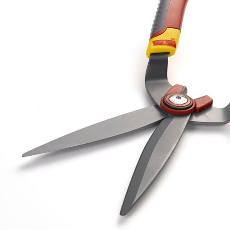 Cisaille à buis 41 cm WOLF - - Willemse