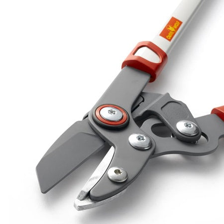 Elagueur confort à enclume 45 mm Wolf - - Willemse