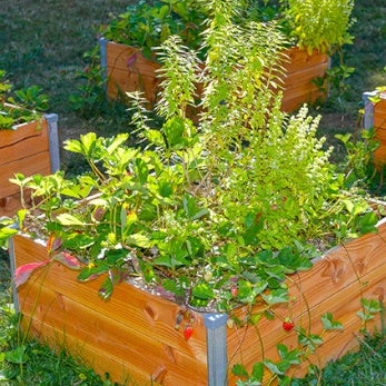 Carré potager en bois Douglas - Equipement