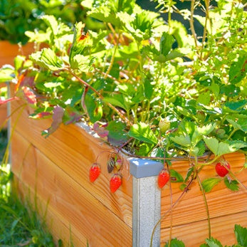 Carré potager en bois Douglas - Potagers serres et accessoires du jardin