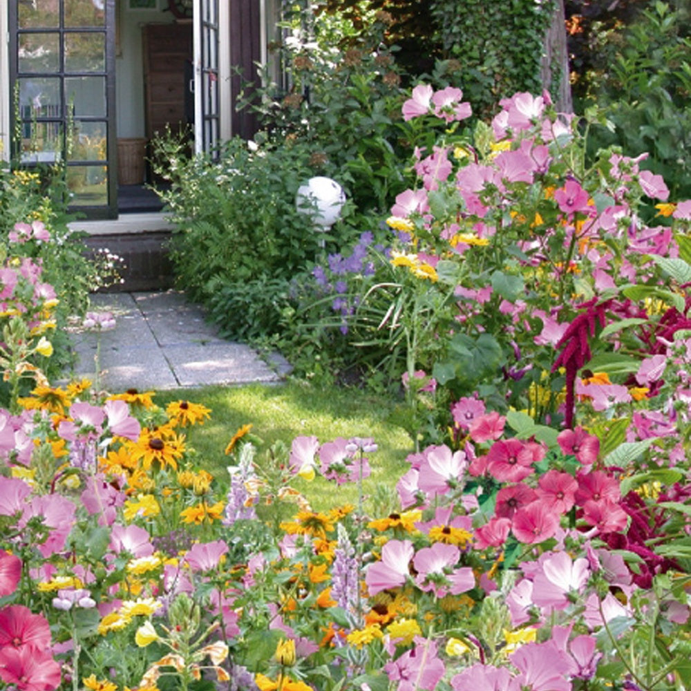 Graines de fleurs annuelles Cottage Garden en mélange - 5 m² - Potager