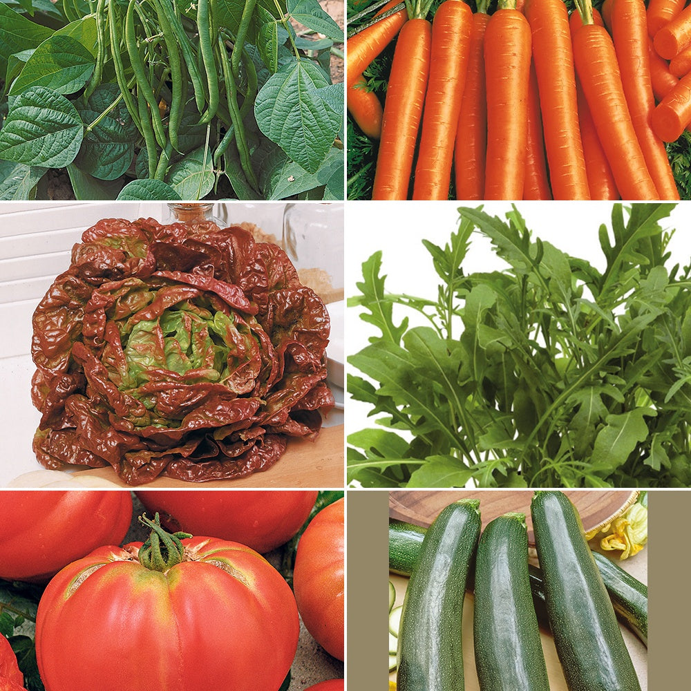 Collection pour potager productif - Assortiment pour potager productif - Willemse