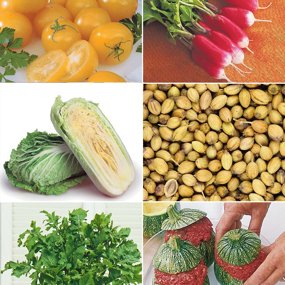 Collection de graines pour carré potager #2 - Assortiment pour carré potager #2 - Willemse