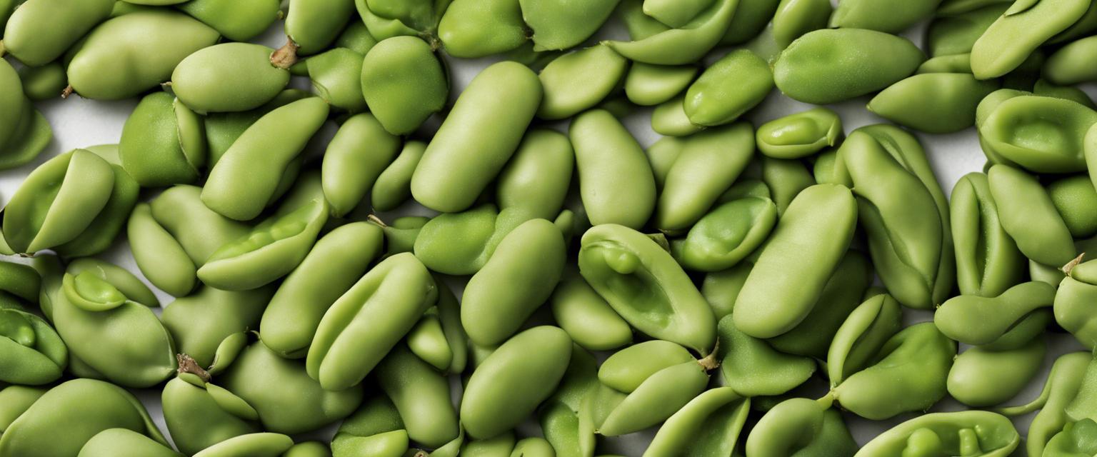 Guide complet sur les graines de fève