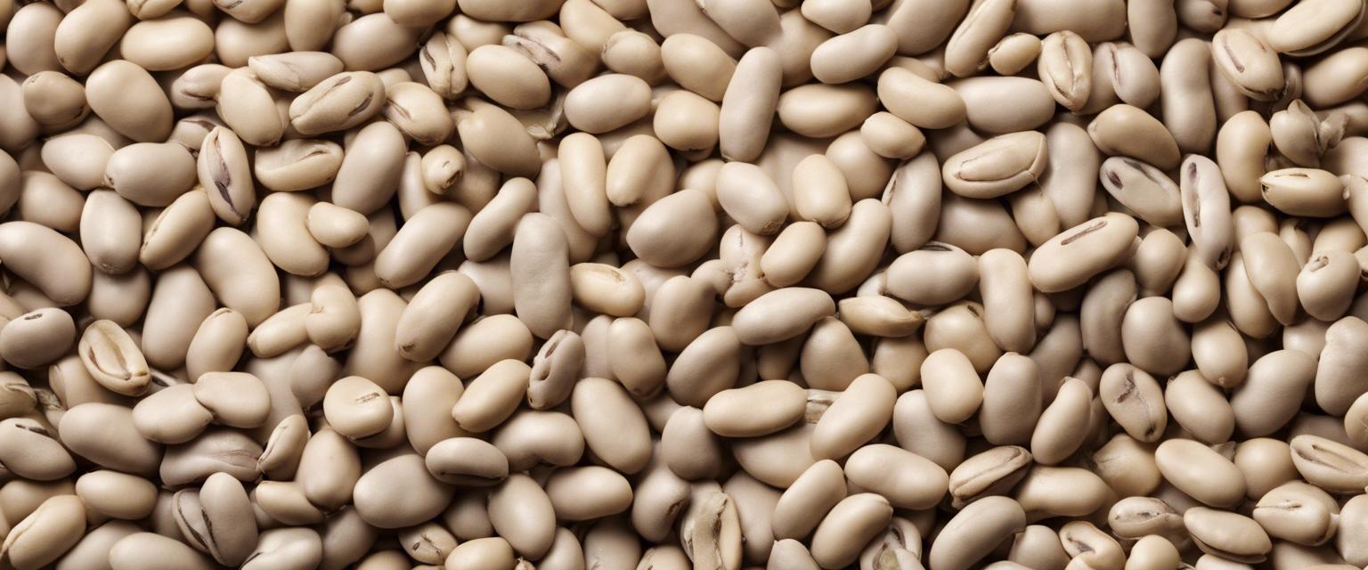 Variétés populaires de fève