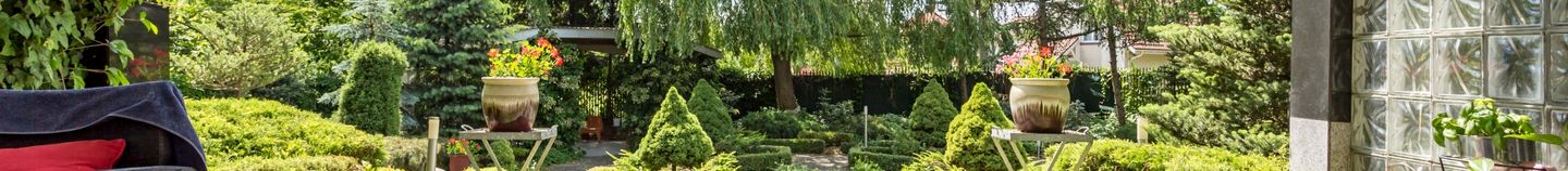 Terrasse ensoleillée