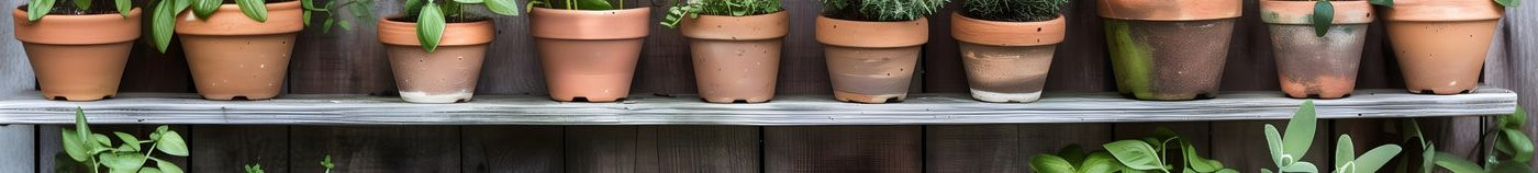 Aromatiques pour terrasse